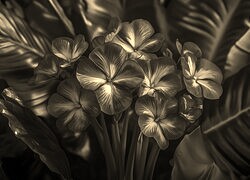 Szary + Sepia