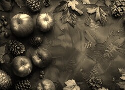 Szary + Sepia