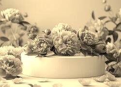 Szary + Sepia