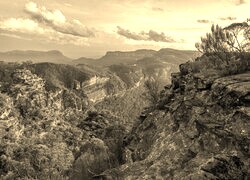 Szary + Sepia