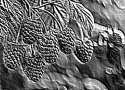 Skamielina