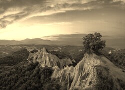 Szary + Sepia