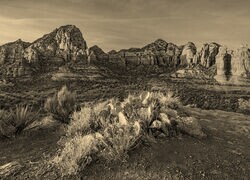 Szary + Sepia