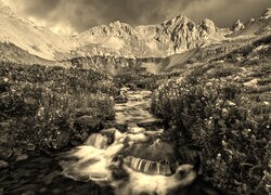 Sepia