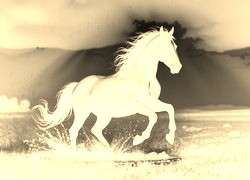 Sepia + Negatyw