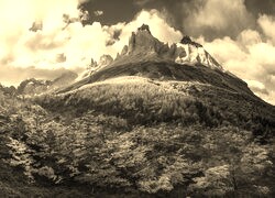Szary + Sepia