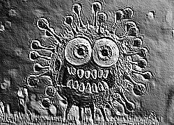 Skamielina