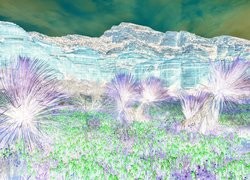 Negatyw