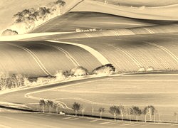 Sepia + Negatyw