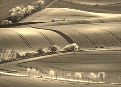 Sepia