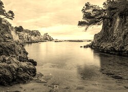 Sepia