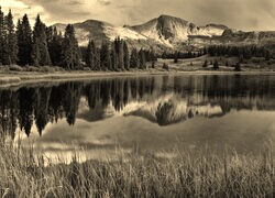 Sepia