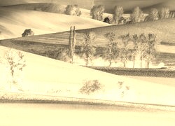 Sepia + Negatyw