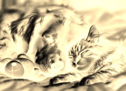 Sepia + Negatyw