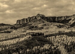 Szary + Sepia