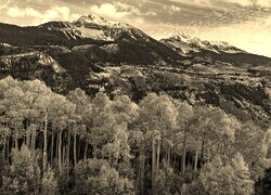 Szary + Sepia