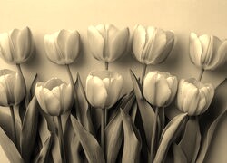 Szary + Sepia