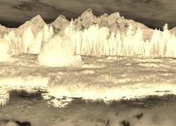 Sepia + Negatyw