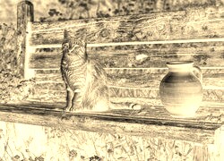 Sepia + Negatyw