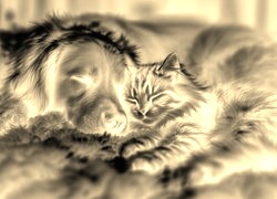 Sepia + Negatyw