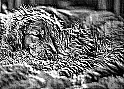 Skamielina