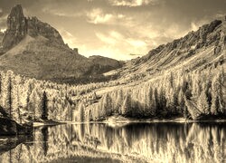 Szary + Sepia