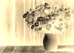 Sepia + Negatyw