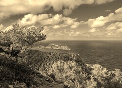 Sepia