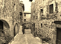 Szary + Sepia