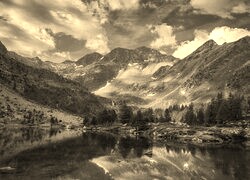 Szary + Sepia