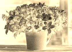 Sepia + Negatyw