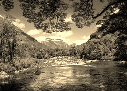 Sepia