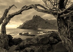 Szary + Sepia