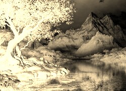 Sepia + Negatyw