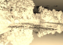 Sepia + Negatyw