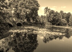 Szary + Sepia