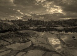 Szary + Sepia