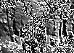 Skamielina