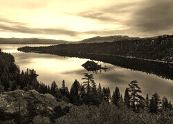 Szary + Sepia