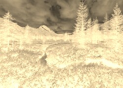 Sepia + Negatyw