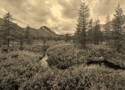 Sepia