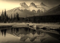 Szary + Sepia