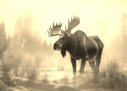 Sepia