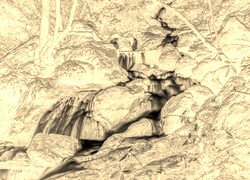 Sepia + Negatyw