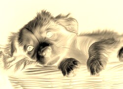 Sepia + Negatyw