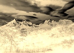 Sepia + Negatyw