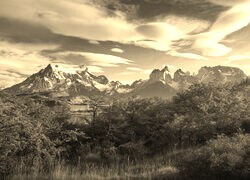 Sepia