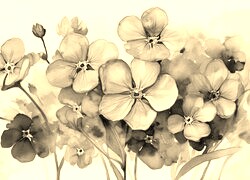 Szary + Sepia