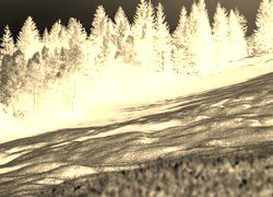 Sepia + Negatyw