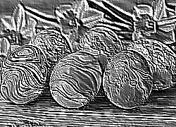 Skamielina